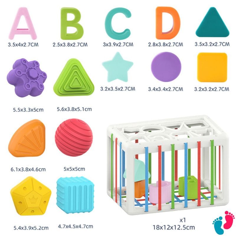 Blocs De Tri sensoriel éducatif montessori - BABY RAINBOW - Nayliss™