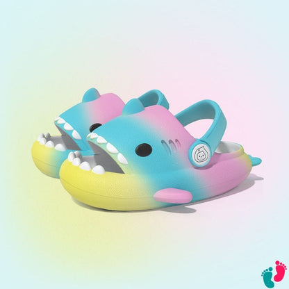Sadales requin enfant - KIDS SHARK