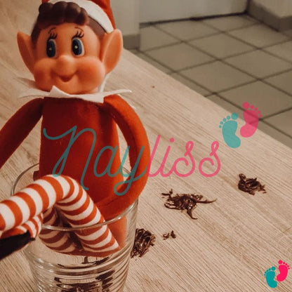 Lutin farceur de noël - CHRISTMAS ELF