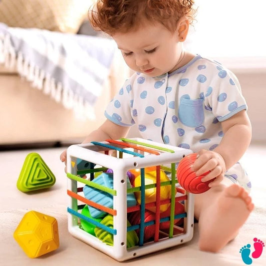 Blocs De Tri sensoriel éducatif montessori - BABY RAINBOW - Nayliss™